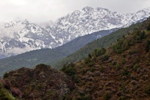 Зааминский район