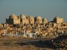 Nukus- beutiful and historical place
